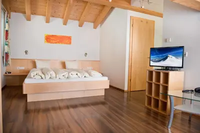 TV/Unterhaltungsangebot in der Unterkunft Hotel Garni Ragaz