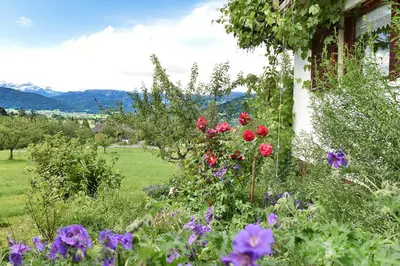 Naturlandschaft in der Nähe der Ferienwohnung