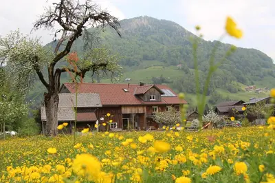 Ein allgemeiner Bergblick oder ein Berglick von der Ferienwohnung aus
