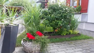 Ein Garten an der Unterkunft Ferienwohnung Lilly