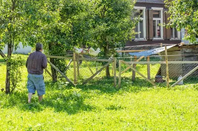 Ein Garten an der Unterkunft Willihof