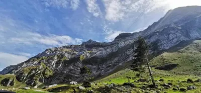 Naturlandschaft in der Nähe des Ferienhauses