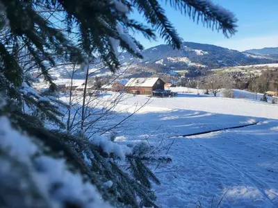 Naturlandschaft in der Nähe der Ferienwohnung
