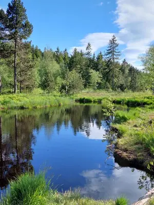 Naturlandschaft in der Nähe der Ferienwohnung