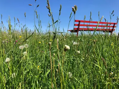 Grundriss der Unterkunft Panorama