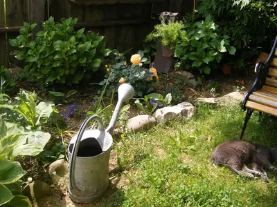 Ein Garten an der Unterkunft Ferienwohnungen Frick