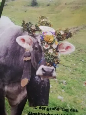 Tiere in der Ferienwohnung oder in der Nähe