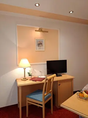 TV/Unterhaltungsangebot in der Unterkunft Schedlers Löwenhotel-GARNI