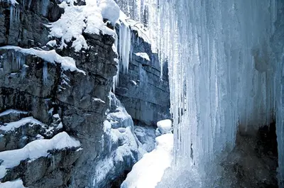 Hotel Adler Garni im Winter