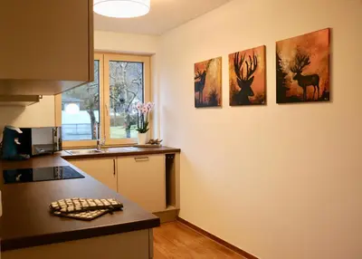Küche/Küchenzeile in der Unterkunft Ferienhaus Raich