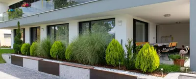 Ein Garten an der Unterkunft Chicken Hill