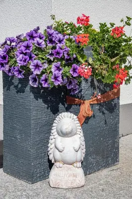 Ein Garten an der Unterkunft Ferienwohnung am Gant