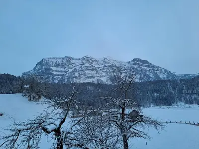 Naturlandschaft in der Nähe der Ferienwohnung