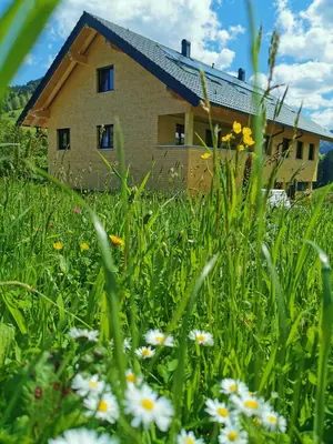 Ein Garten an der Unterkunft Living Apartment
