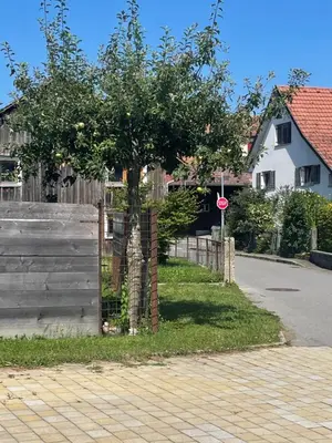 Ein Garten an der Unterkunft K10