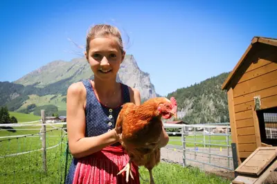Tiere in der Ferienwohnung oder in der Nähe
