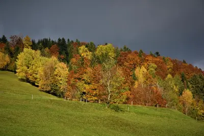 Naturlandschaft in der Nähe of country house