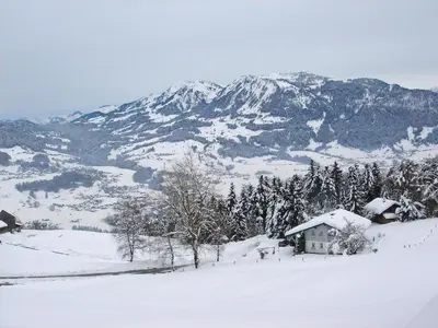 Chalet The Schatzie by Interhome im Winter