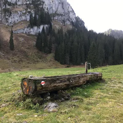 Naturlandschaft in der Nähe der Ferienwohnung