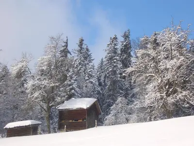 Ferienhaus Troy im Winter
