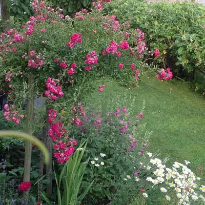 Ein Garten an der Unterkunft Appartment Shelley