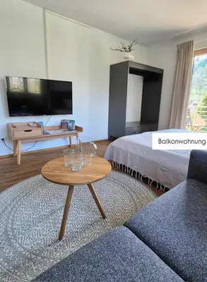 TV/Unterhaltungsangebot in der Unterkunft Ferienwohnung Tostner Burgblick