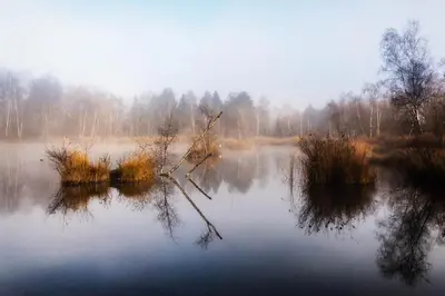 Naturlandschaft in der Nähe des Hotels