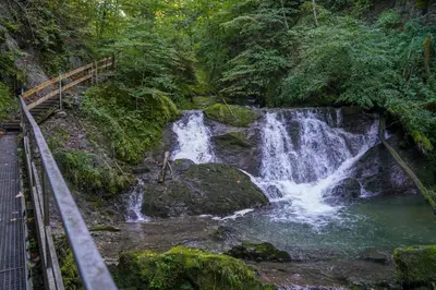 Naturlandschaft in der Nähe des Ferienhauses