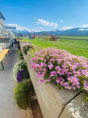 Naturlandschaft in der Nähe der Ferienwohnung