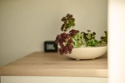 Grundriss der Unterkunft Charmantes Apartment in Bregenz - perfekt für Aktive & Genießer