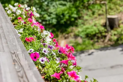 Ein Garten an der Unterkunft Lisas Schröcken