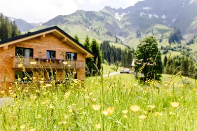 Naturlandschaft in der Nähe der Pension