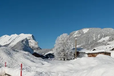 Ferienbauernhof Moosbrugger im Winter