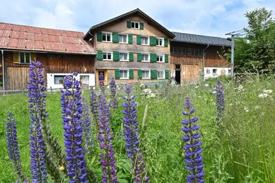 Ein Garten an der Unterkunft Ferienbauernhof Moosbrugger