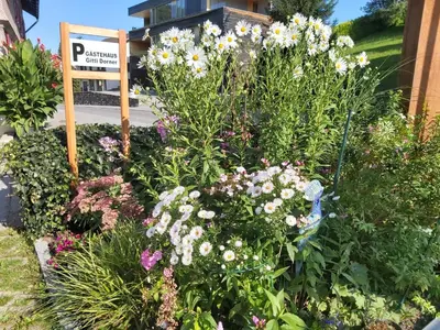 Ein Garten an der Unterkunft Gästehaus Gitti Dorner