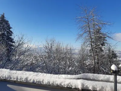 Ferienwohnung Bodenseeblick im Winter