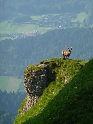 Naturlandschaft in der Nähe der Pension