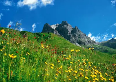 Naturlandschaft in der Nähe der Ferienwohnung