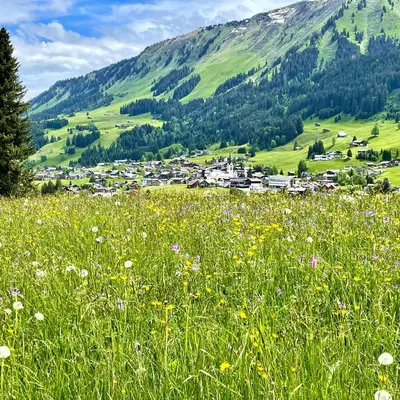 Naturlandschaft in der Nähe der Ferienwohnung