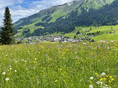 Naturlandschaft in der Nähe der Ferienwohnung