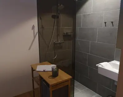 Ein Badezimmer in der Unterkunft Apartment Almwiesen Mellau