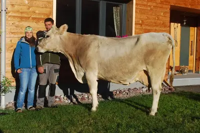 Tiere in der Ferienwohnung oder in der Nähe