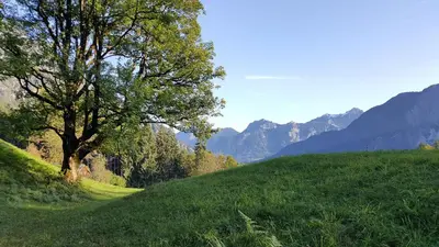 Grundriss der Unterkunft Ferienwohnung Mathis