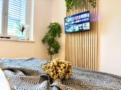 TV/Unterhaltungsangebot in der Unterkunft FLAIR Apartments Vorarlberg - Stilvolles Wohnen nahe Bodensee & Alpen - Küche, Balkon & Gratis Parkplatz
