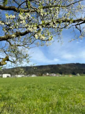 Naturlandschaft in der Nähe der Ferienwohnung