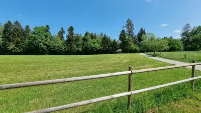 Naturlandschaft in der Nähe der Ferienwohnung