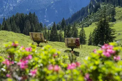 Naturlandschaft in der Nähe des Bauernhofs