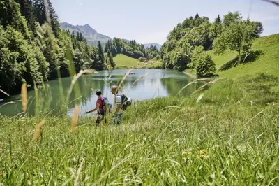 Naturlandschaft in der Nähe der Ferienwohnung