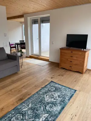 TV/Unterhaltungsangebot in der Unterkunft Penthousewohnung mit fantastischem Ausblick und KLIMAANLAGE