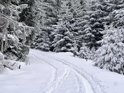 Ferienwohnung Rosenstrasse im Winter